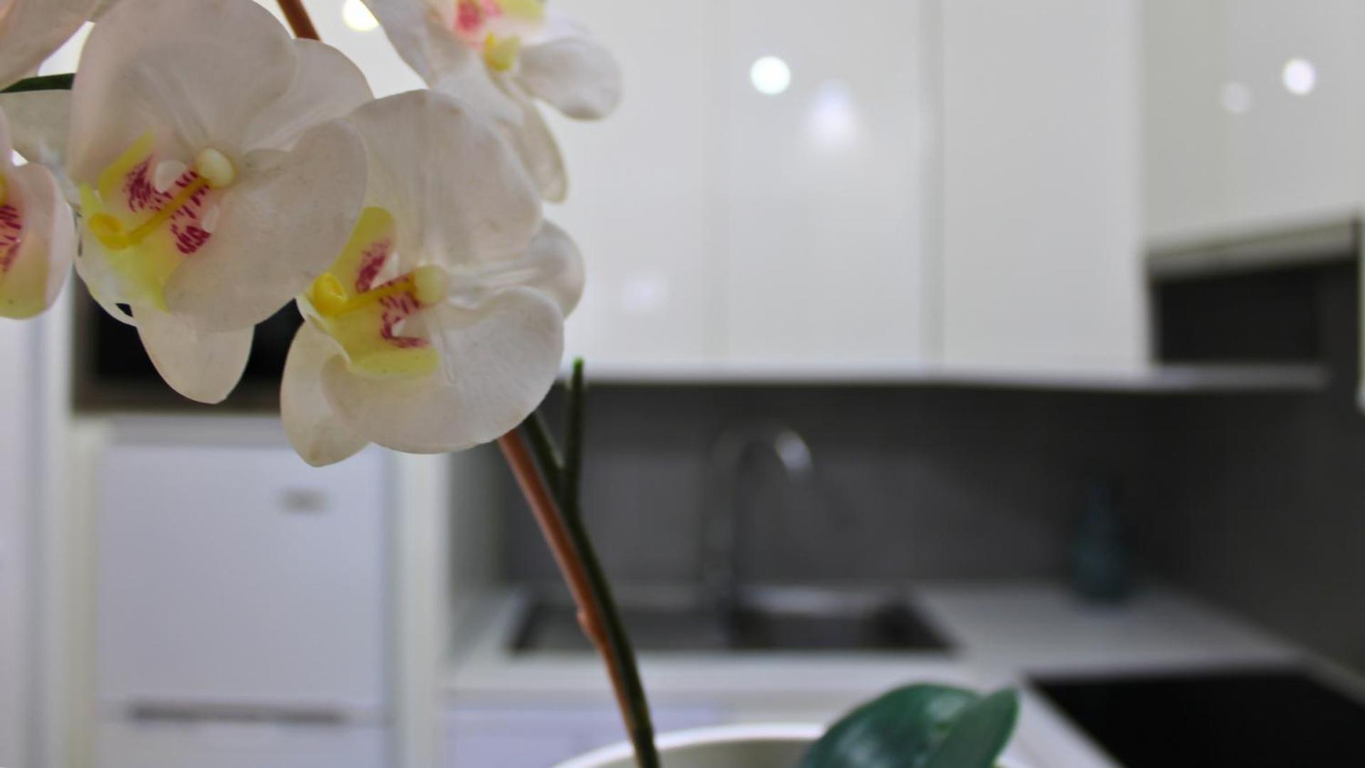 Markethome Mareverde Studio Costa Adeje  Ngoại thất bức ảnh
